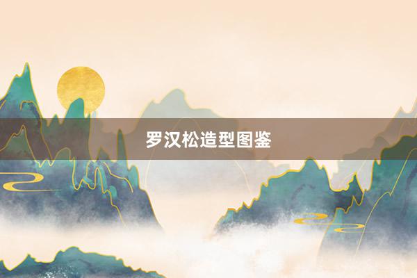 罗汉松造型图鉴
