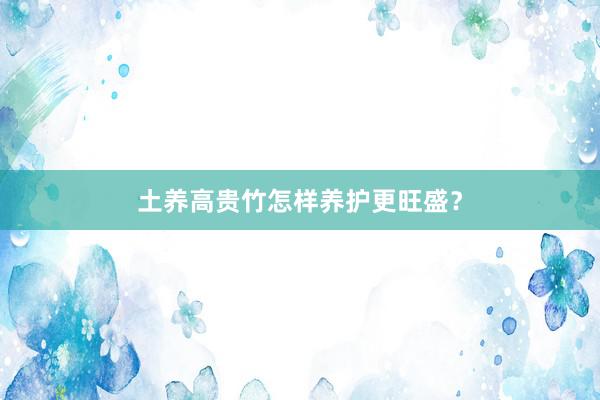 土养高贵竹怎样养护更旺盛？