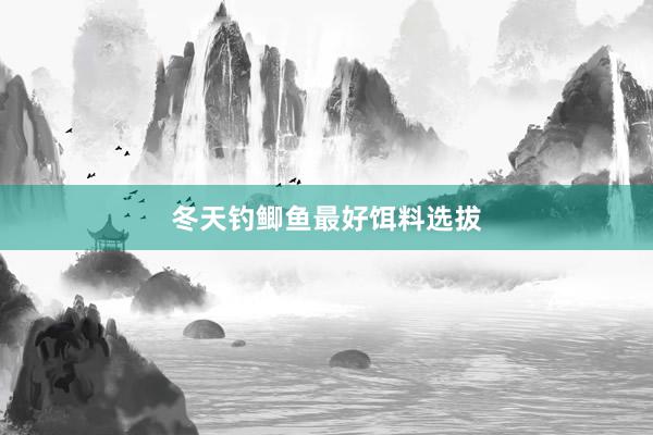 冬天钓鲫鱼最好饵料选拔